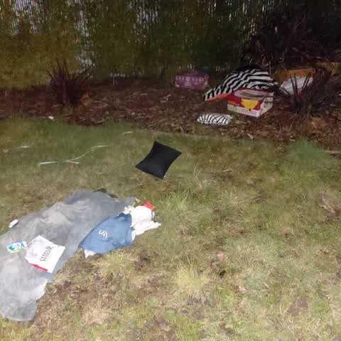 Rubbish/Recycling, a report photo