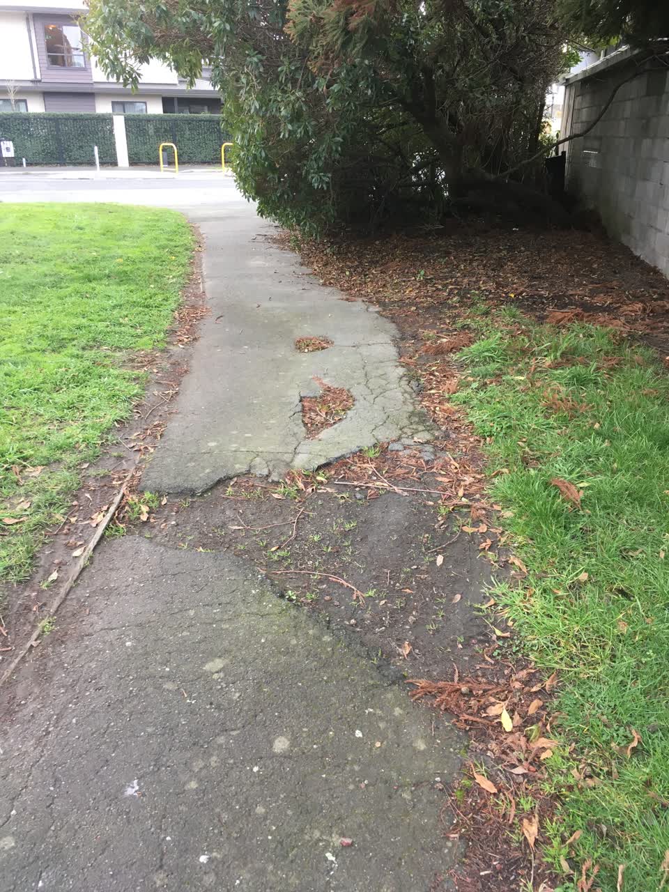 The photograph attached to this roading/streets report