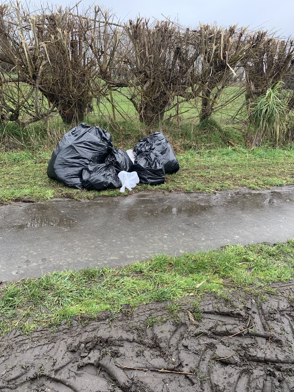 The photograph attached to this rubbish/recycling report