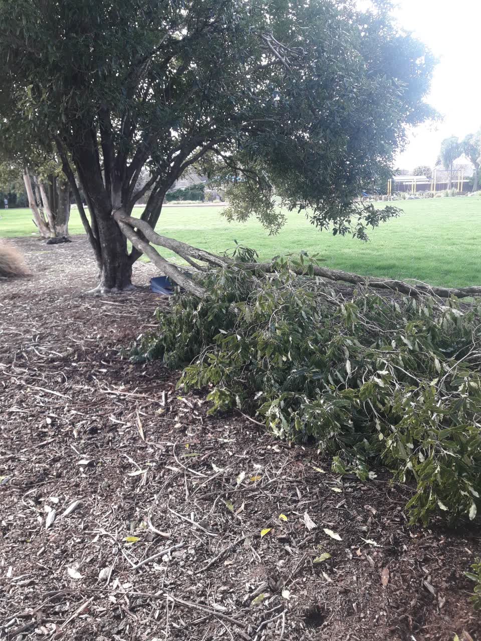 The photograph attached to this parks report