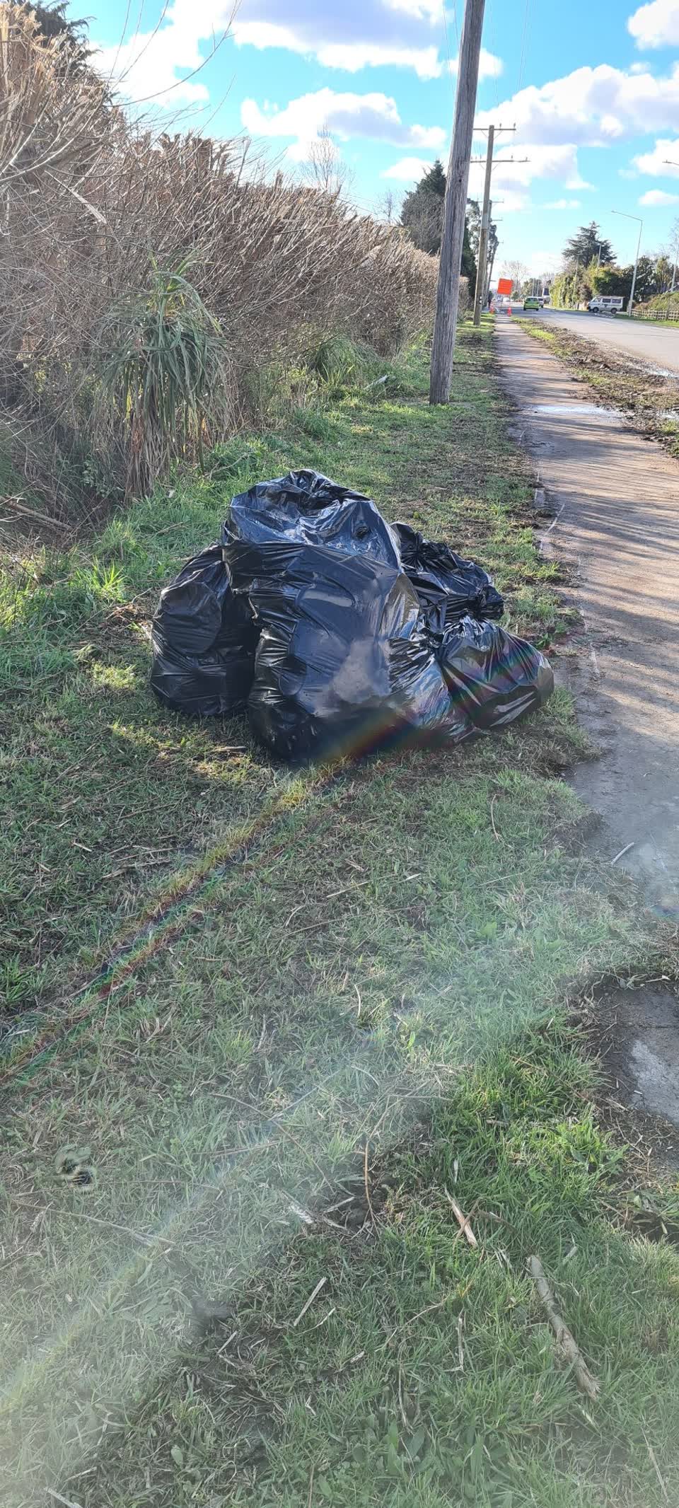 The photograph attached to this rubbish/recycling report