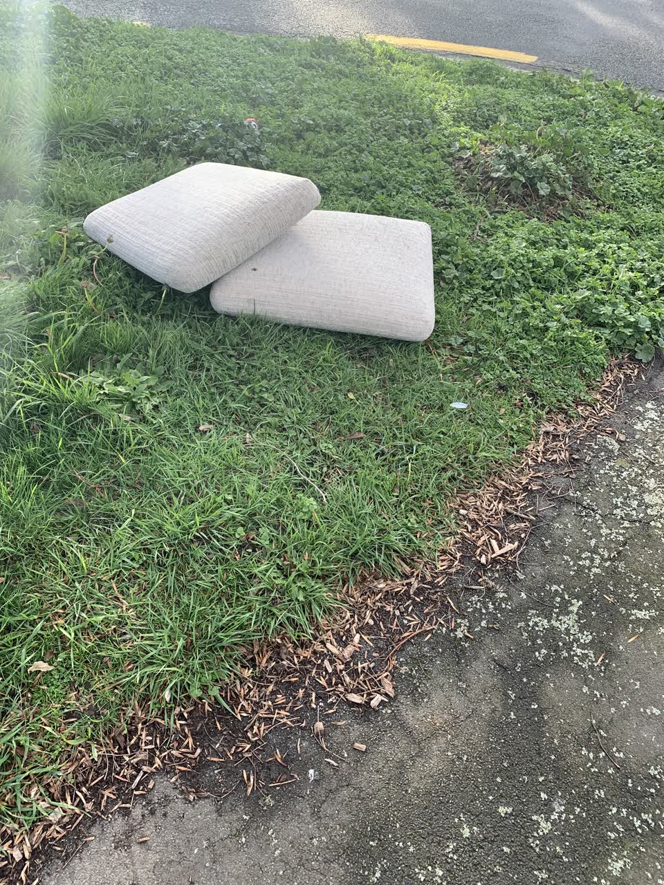 The photograph attached to this rubbish/recycling report