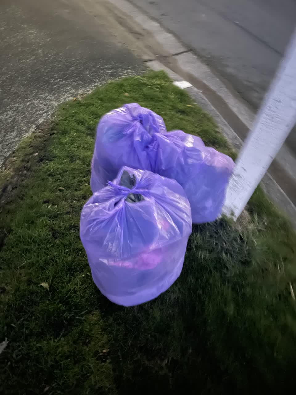 The photograph attached to this rubbish/recycling report