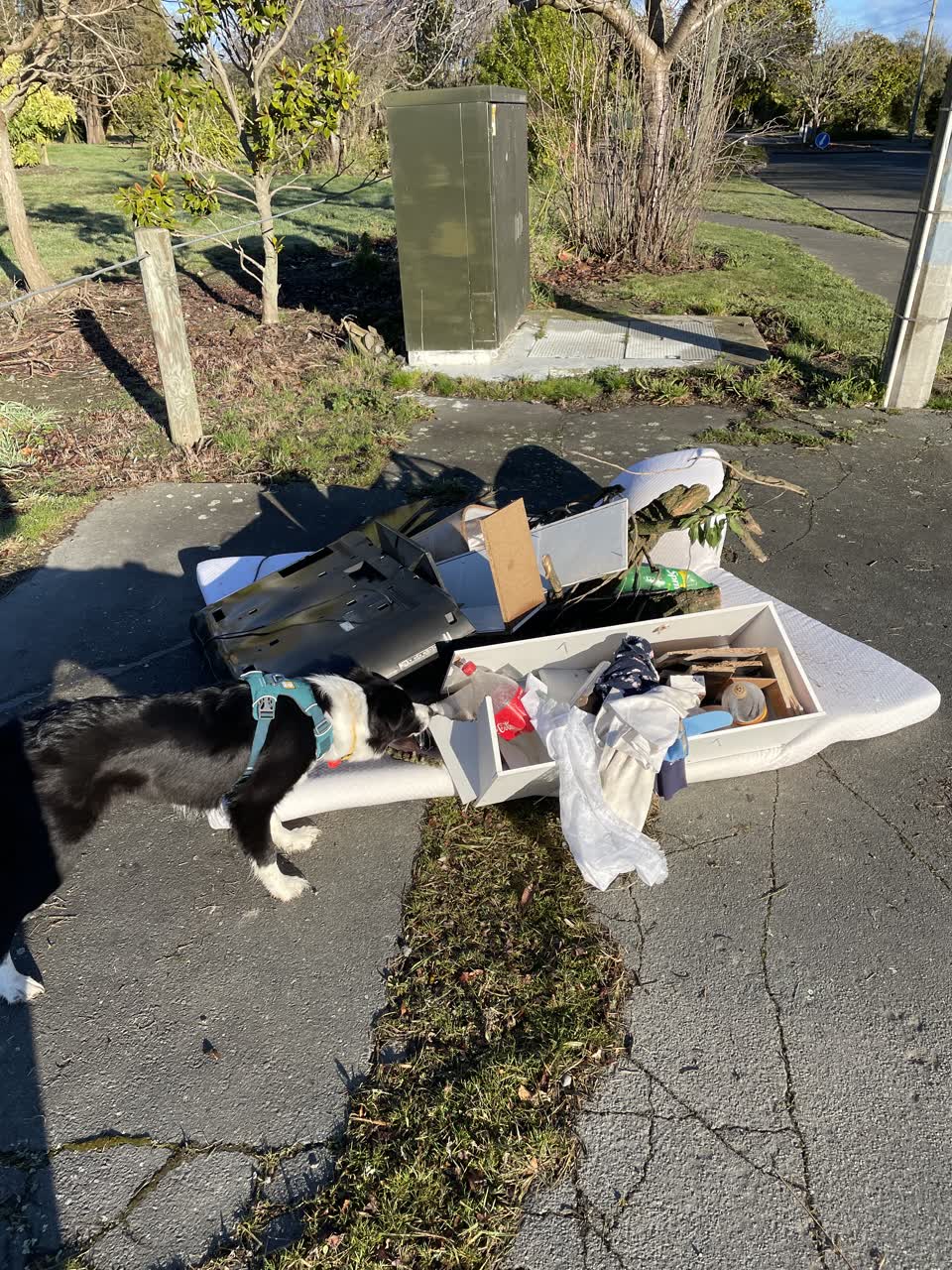 The photograph attached to this rubbish/recycling report