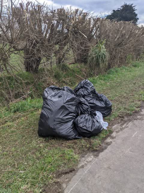 Rubbish/Recycling — a report photo