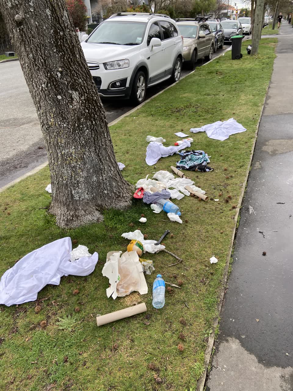 The photograph attached to this rubbish/recycling report