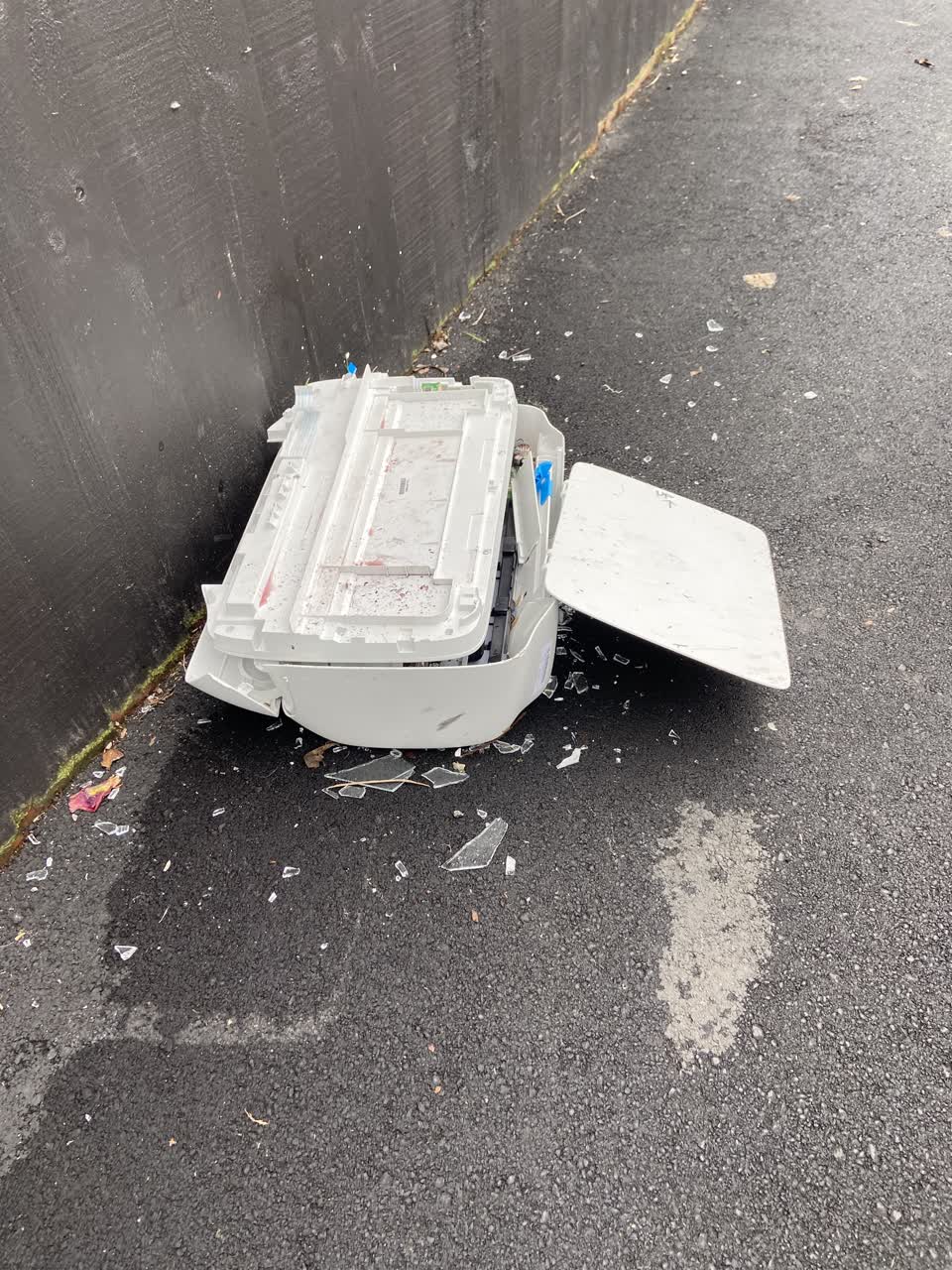 The photograph attached to this rubbish/recycling report