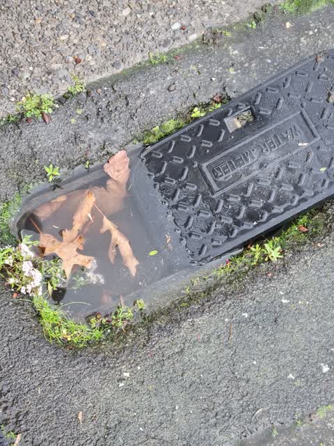Water Leak, a report photo