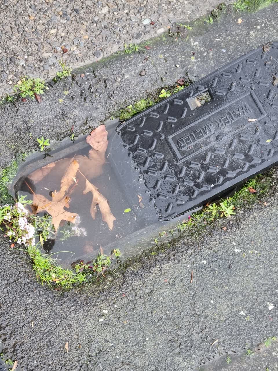 The photograph attached to this water leak report