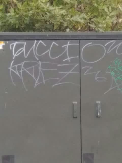 Graffiti, a report photo