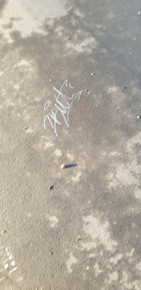Graffiti — a report photo