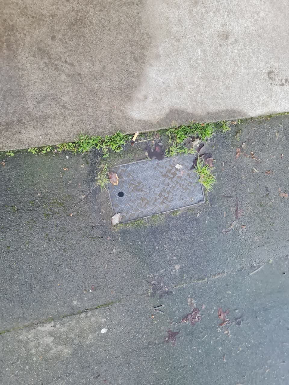The photograph attached to this water leak report