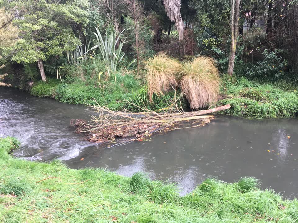 The photograph attached to this parks report