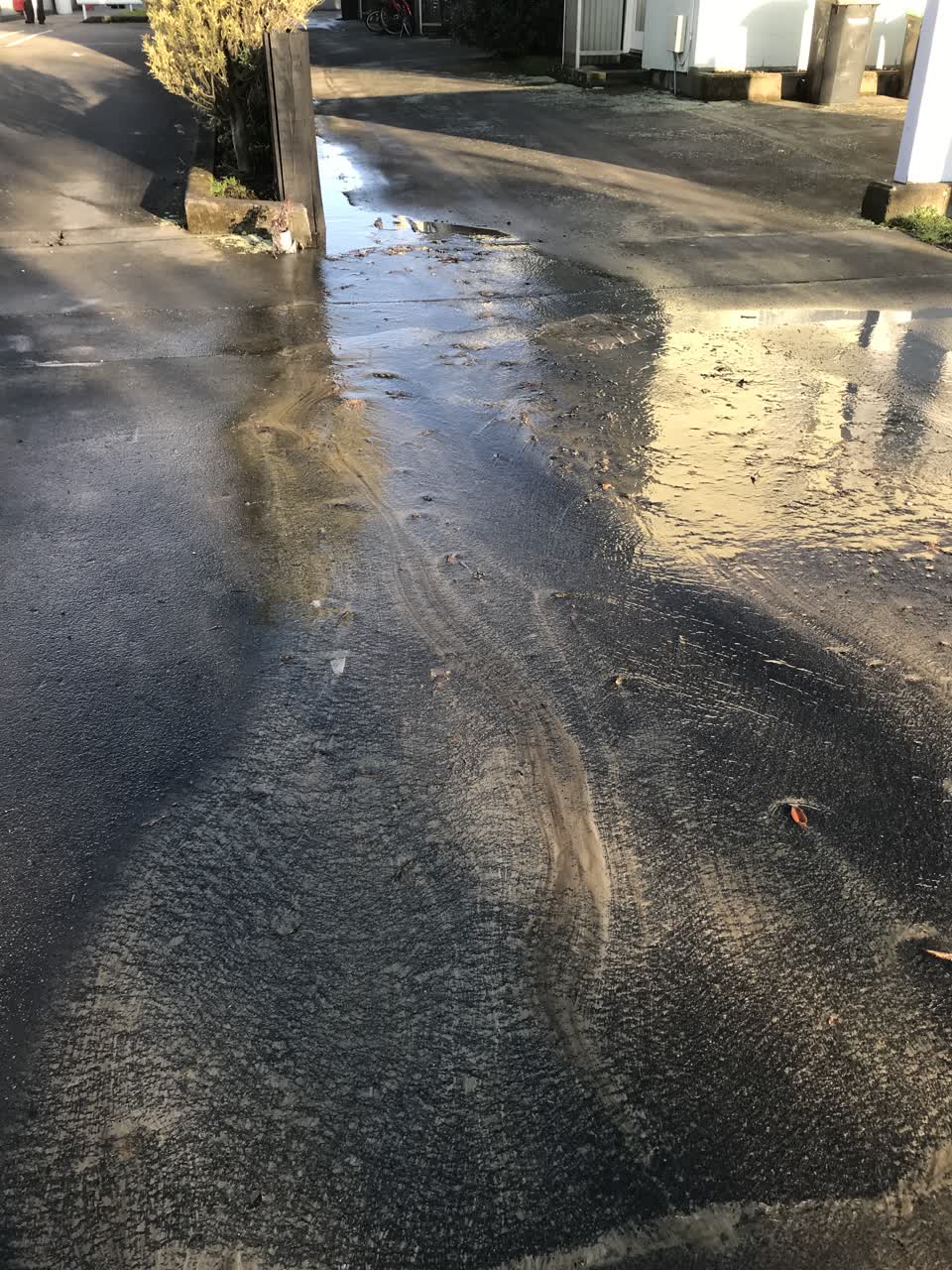 The photograph attached to this water leak report