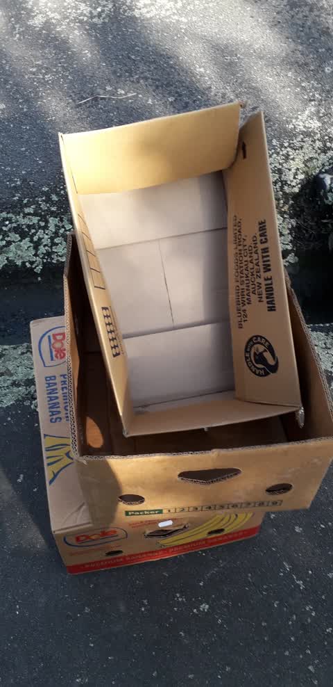 Rubbish/Recycling, a report photo