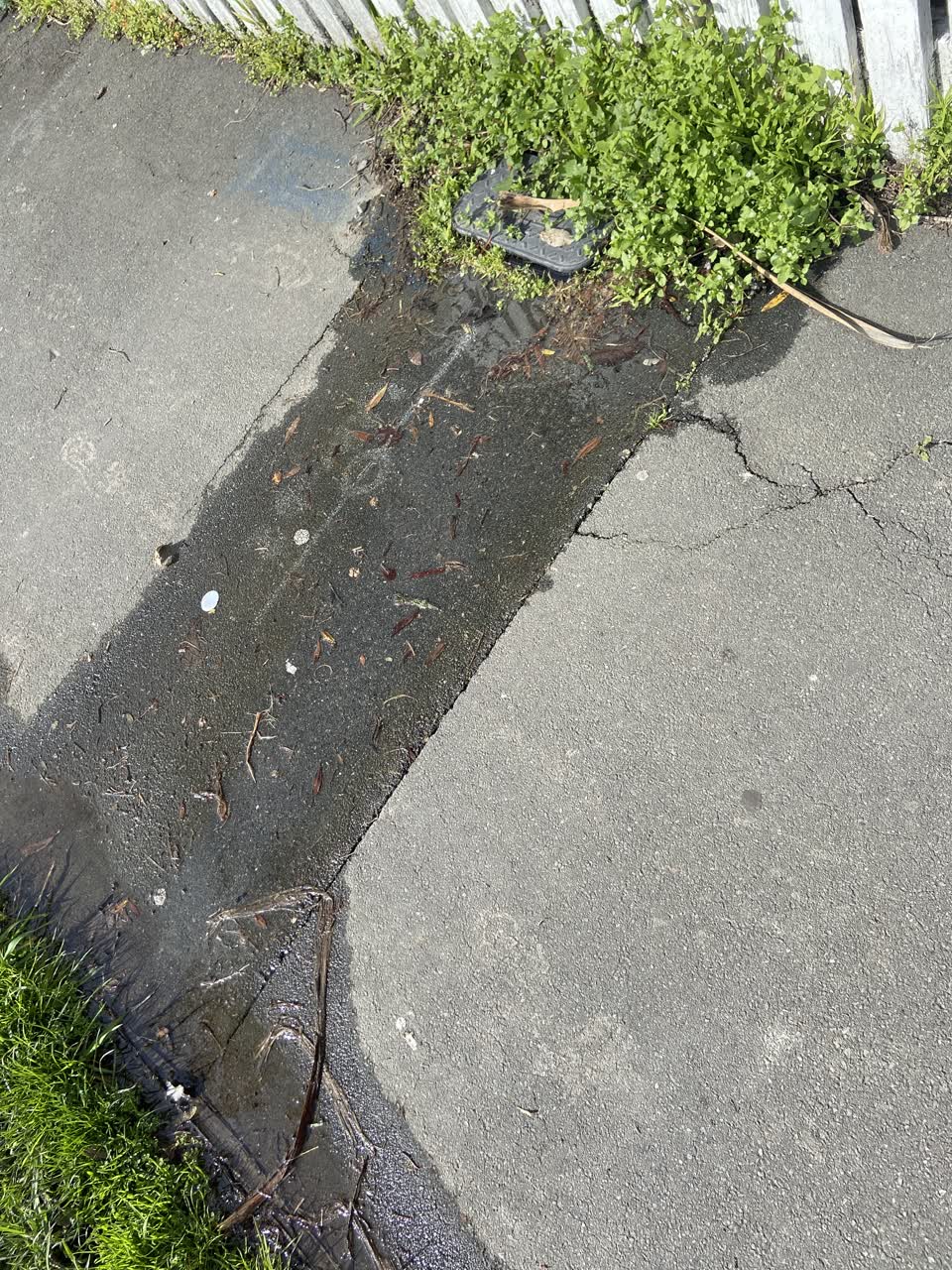 The photograph attached to this water leak report