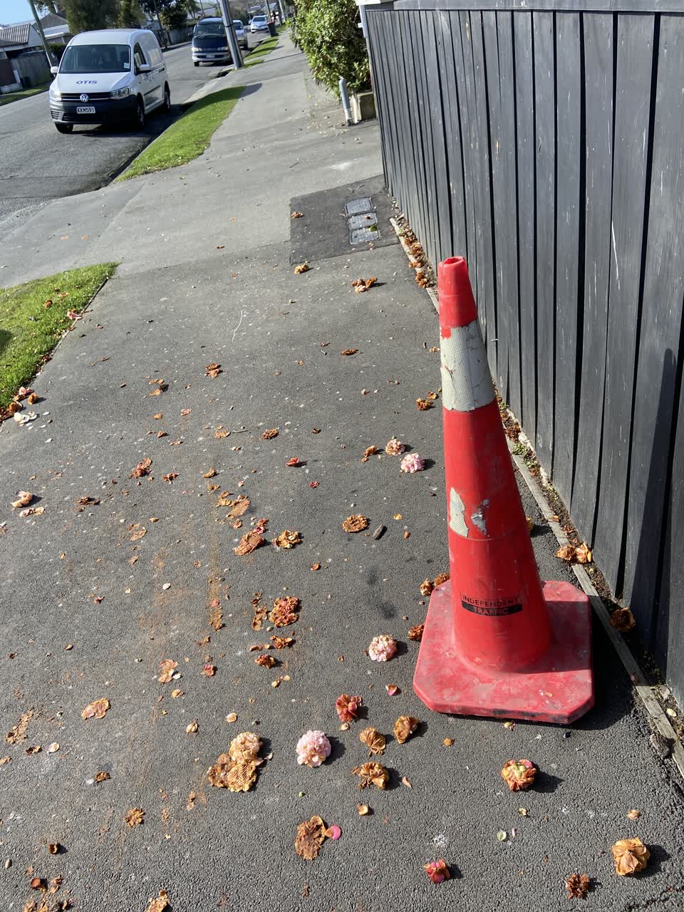 The photograph attached to this roading/streets report