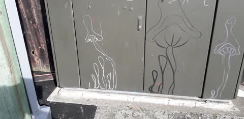 Graffiti, a report photo