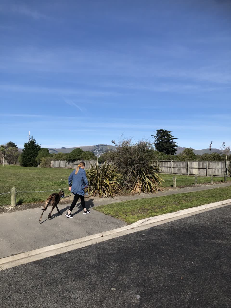 The photograph attached to this parks report