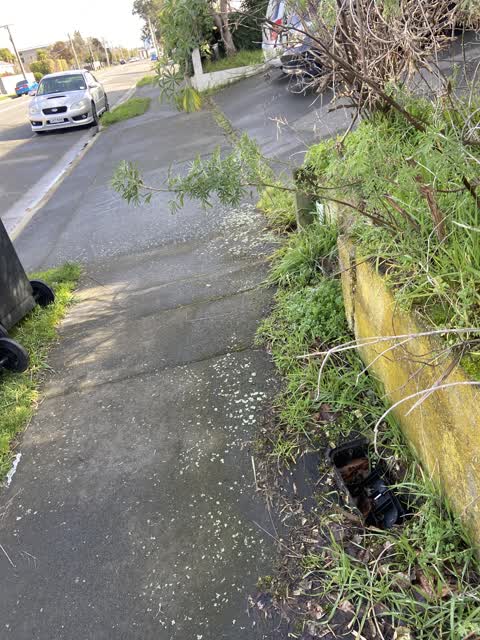 Roading/Streets, a report photo