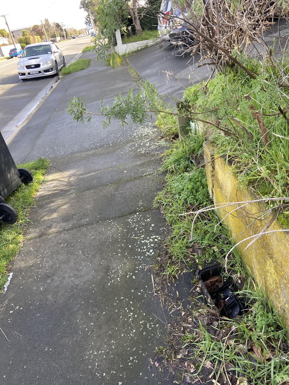 The photograph attached to this roading/streets report