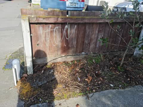 Graffiti, a report photo