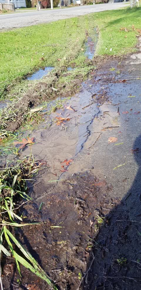Water Leak, a report photo