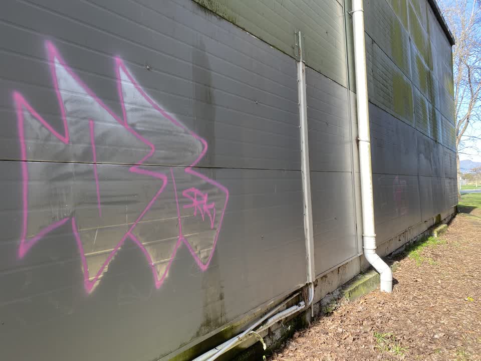 The photograph attached to this graffiti report