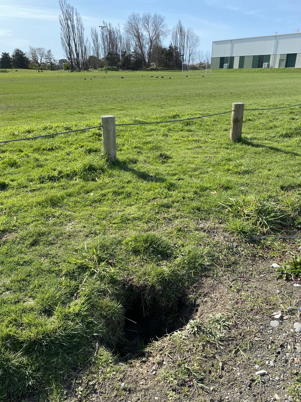 The photograph attached to this parks report