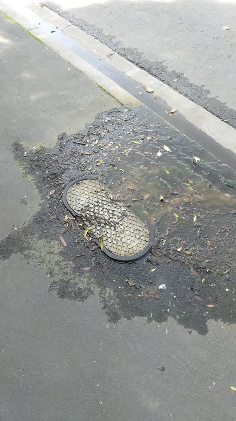 Roading/Streets, a report photo