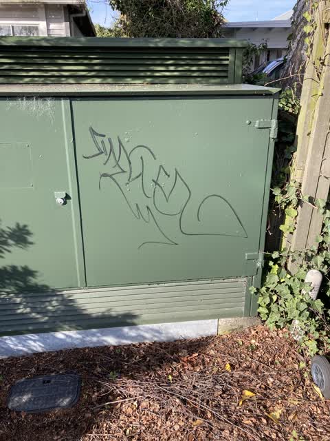 Graffiti, a report photo