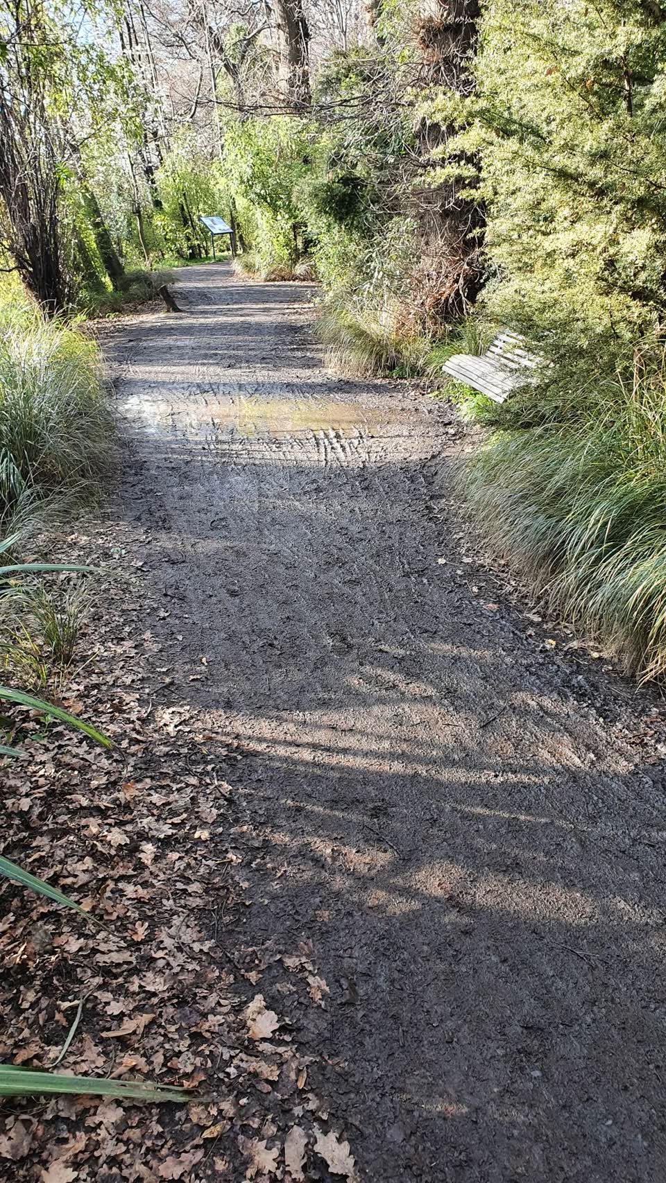 The photograph attached to this parks report