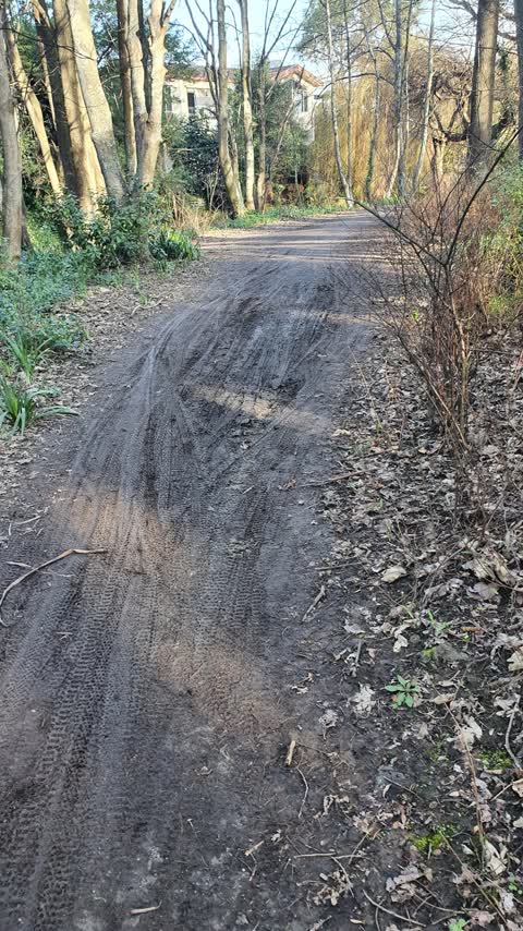 Parks, a report photo