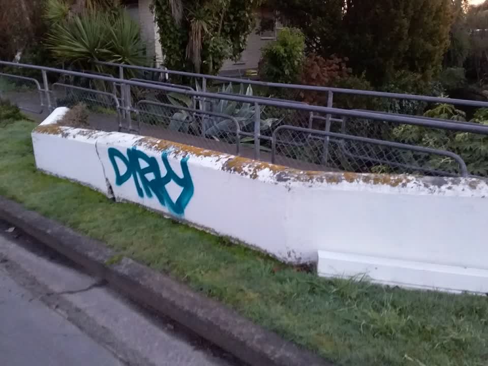 The photograph attached to this graffiti report