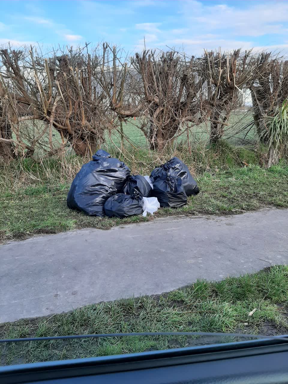 The photograph attached to this rubbish/recycling report