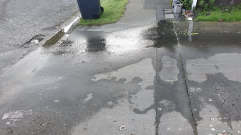 Water Leak, a report photo