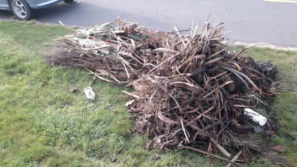 The photograph attached to this parks report