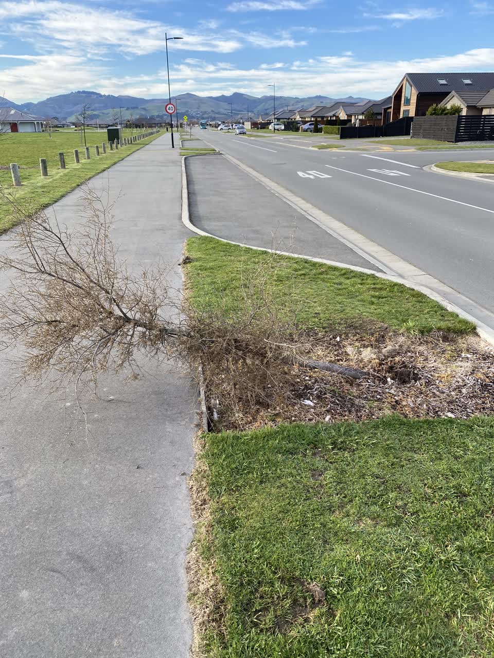 The photograph attached to this parks report