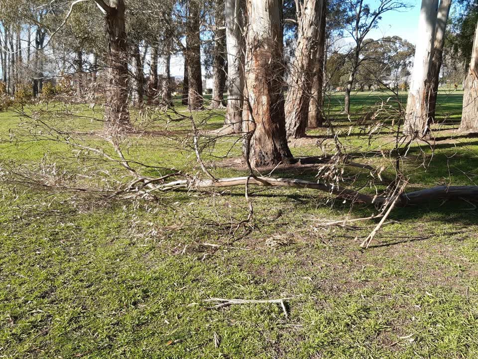 The photograph attached to this parks report