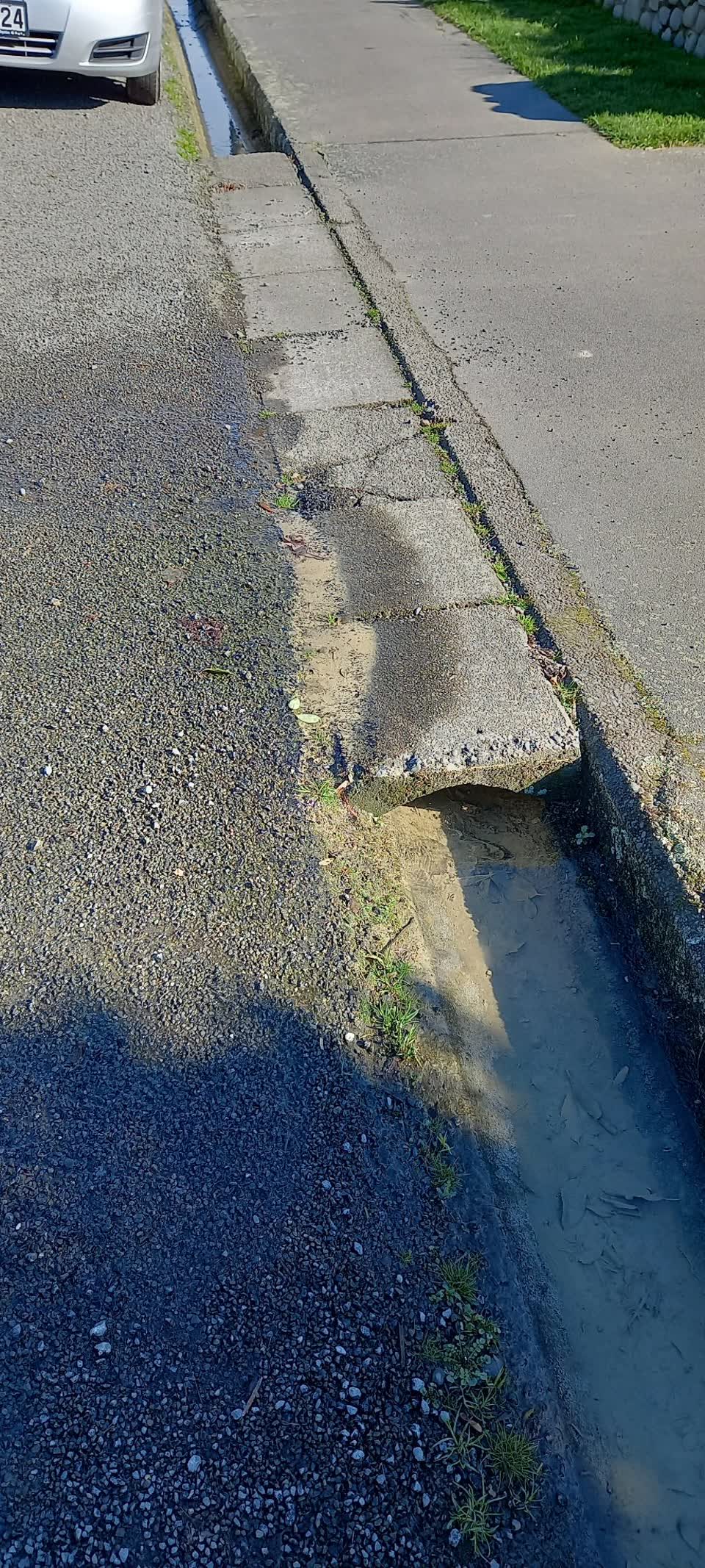The photograph attached to this water leak report