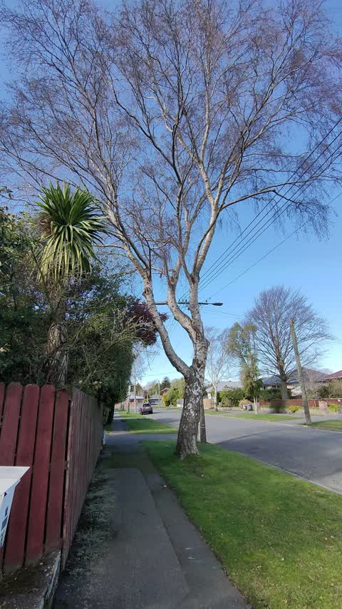 Parks, a report photo