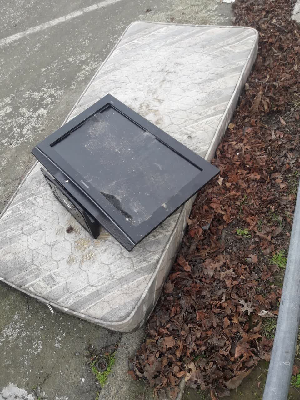 The photograph attached to this rubbish/recycling report