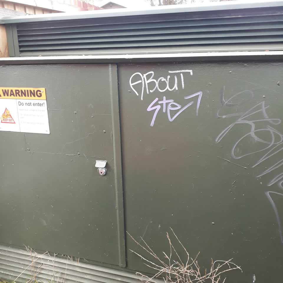 The photograph attached to this graffiti report