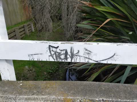 Graffiti, a report photo
