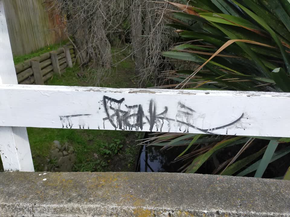 The photograph attached to this graffiti report