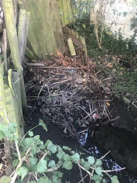 Wastewater/Stormwater, a report photo