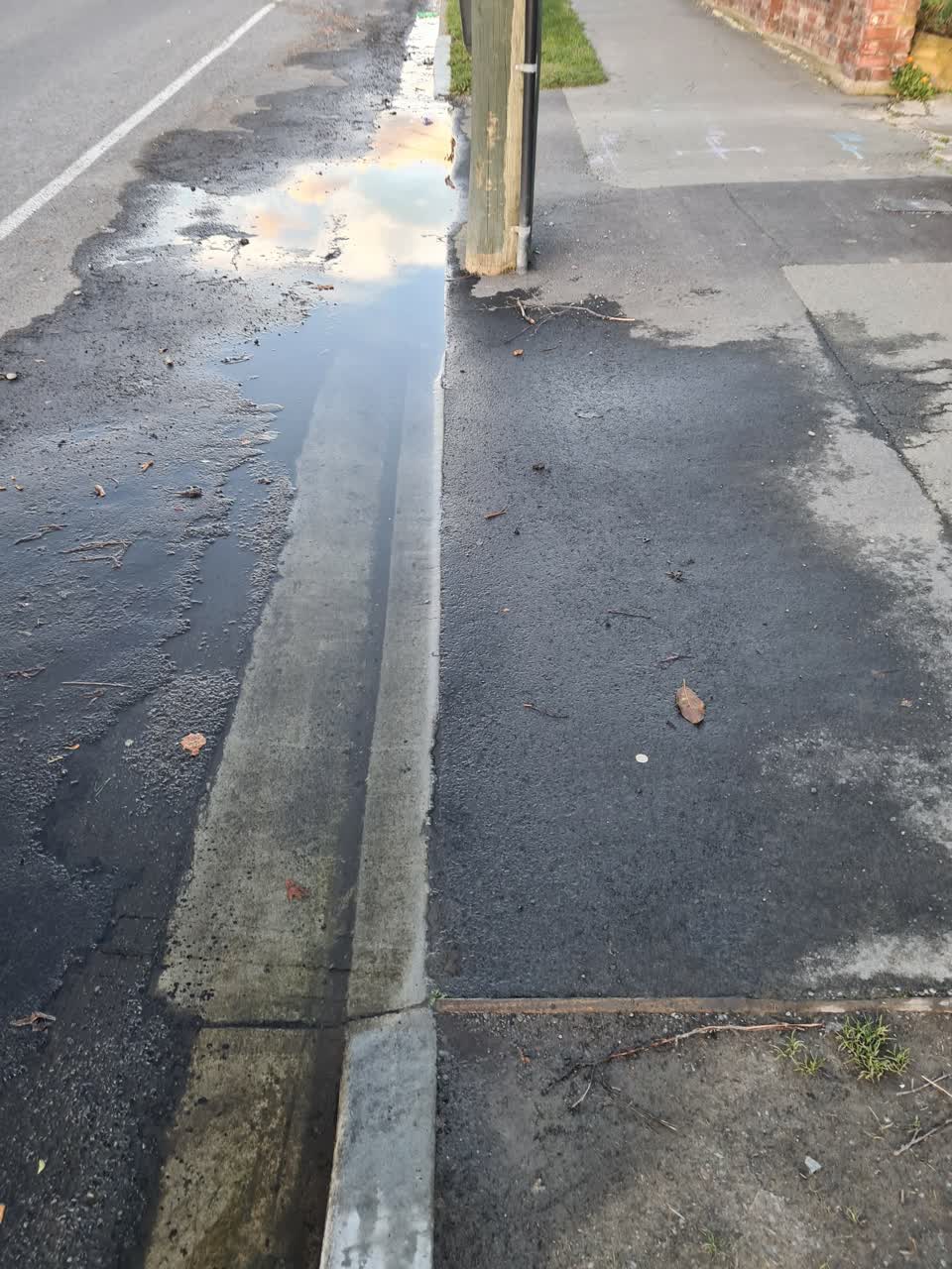 The photograph attached to this water leak report