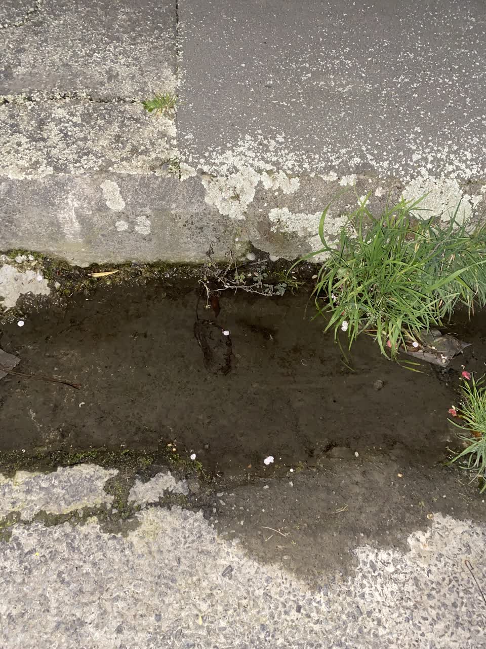 The photograph attached to this water leak report