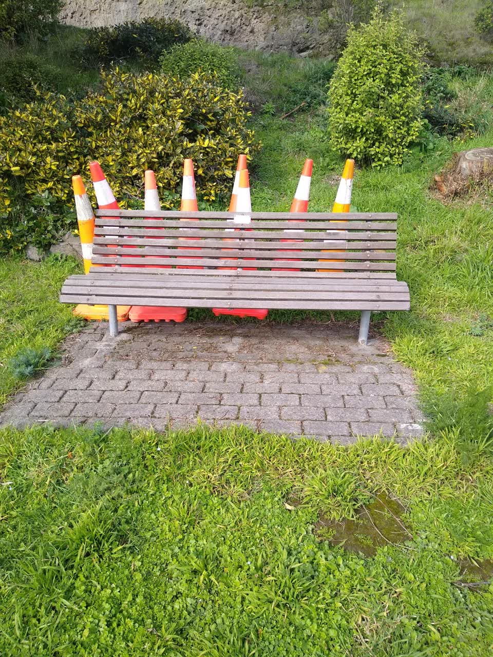 The photograph attached to this parks report