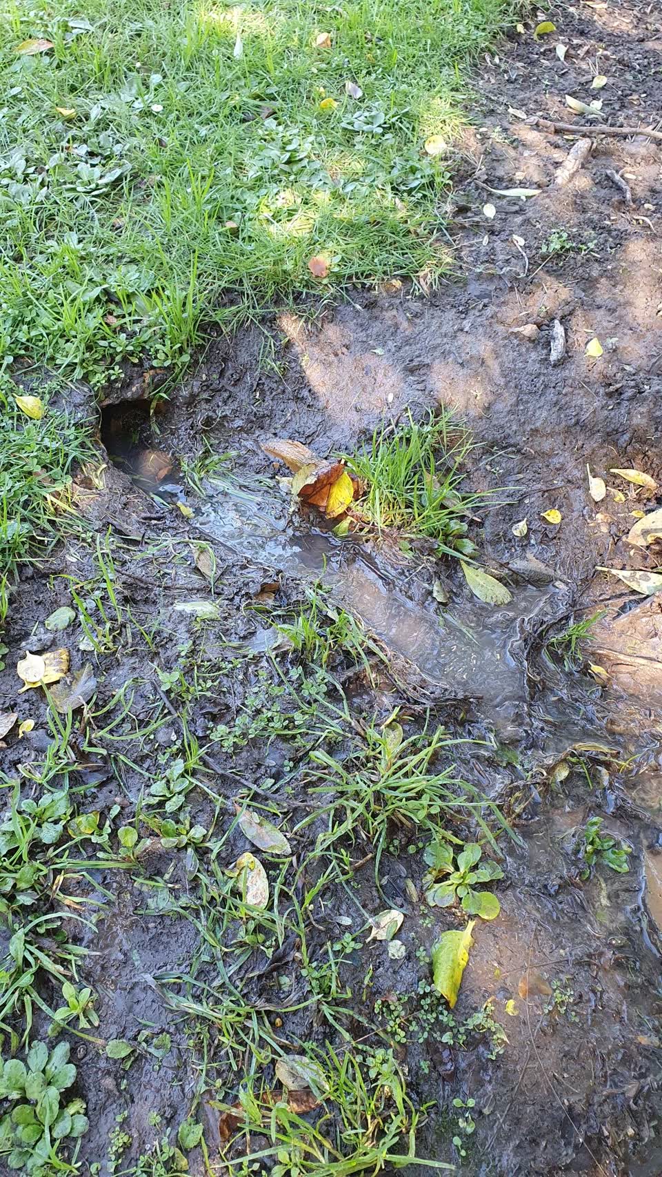 The photograph attached to this wastewater/stormwater report